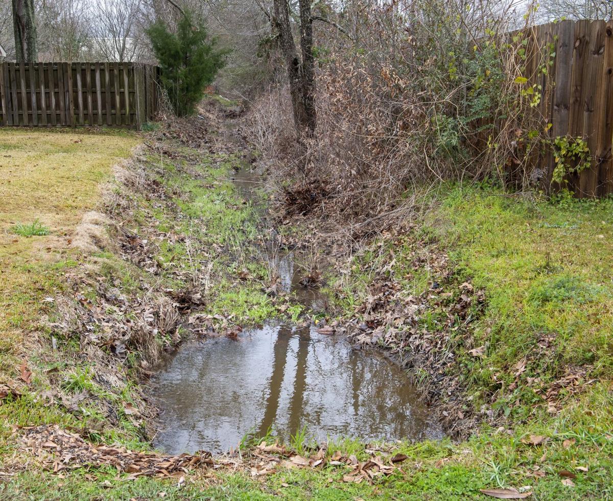 Johnson grass is blocking drainage canals, so East Baton Rouge is